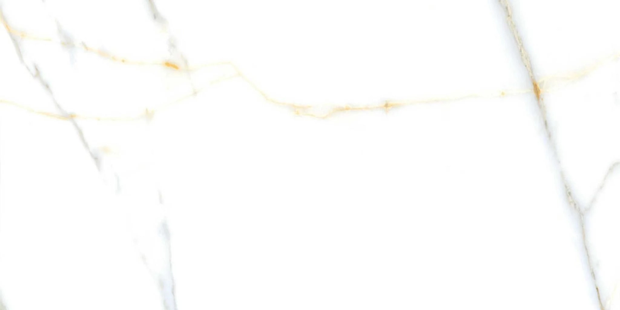 LET-60120-002-CR